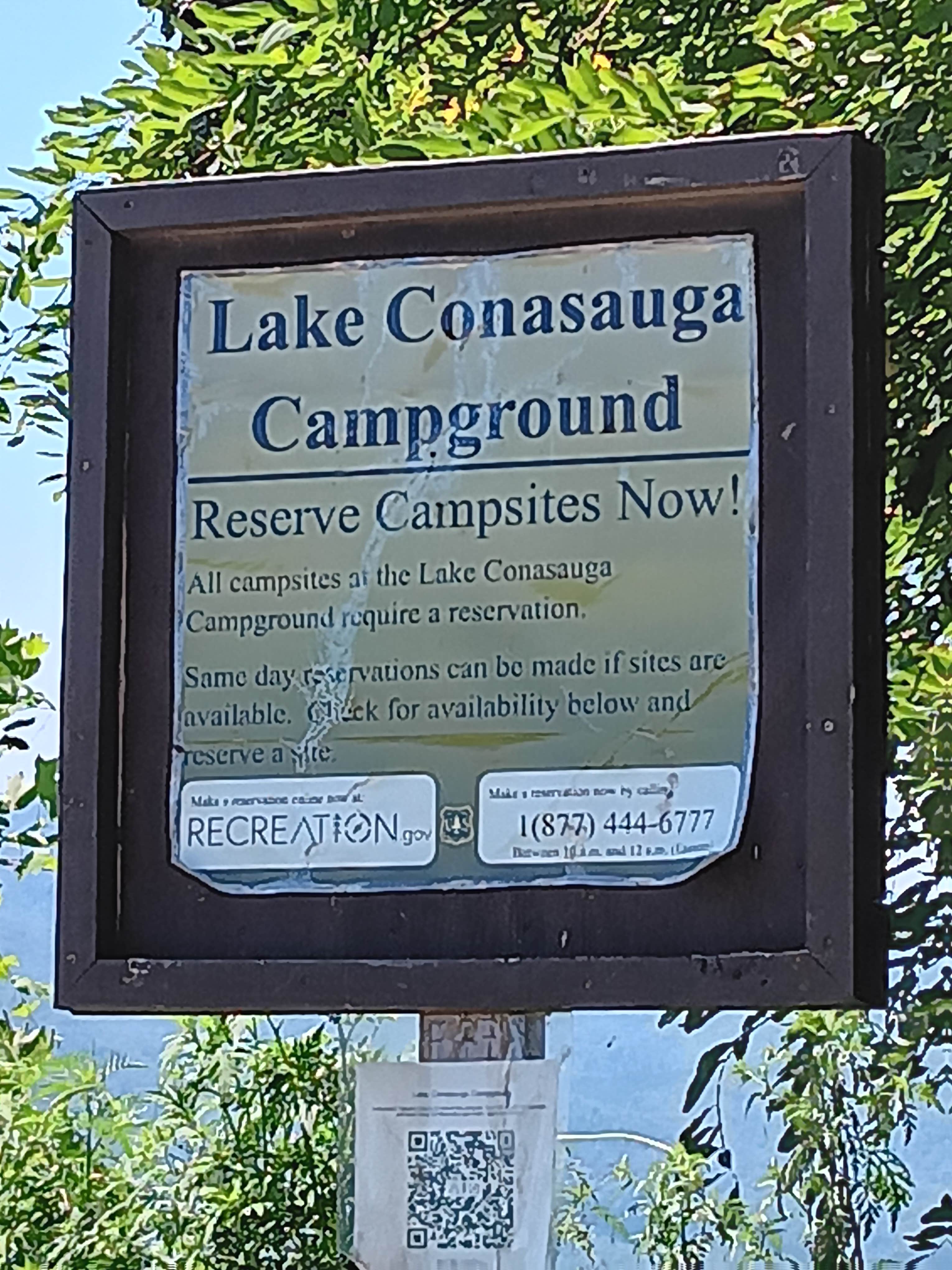 Camper submitted image from Lake Conasauga Overflow Campground — Chattahoochee Oconee National Forest - 5