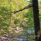 Review photo of Lake Conasauga Overflow Campground — Chattahoochee Oconee National Forest by Sarah H., August 24, 2024