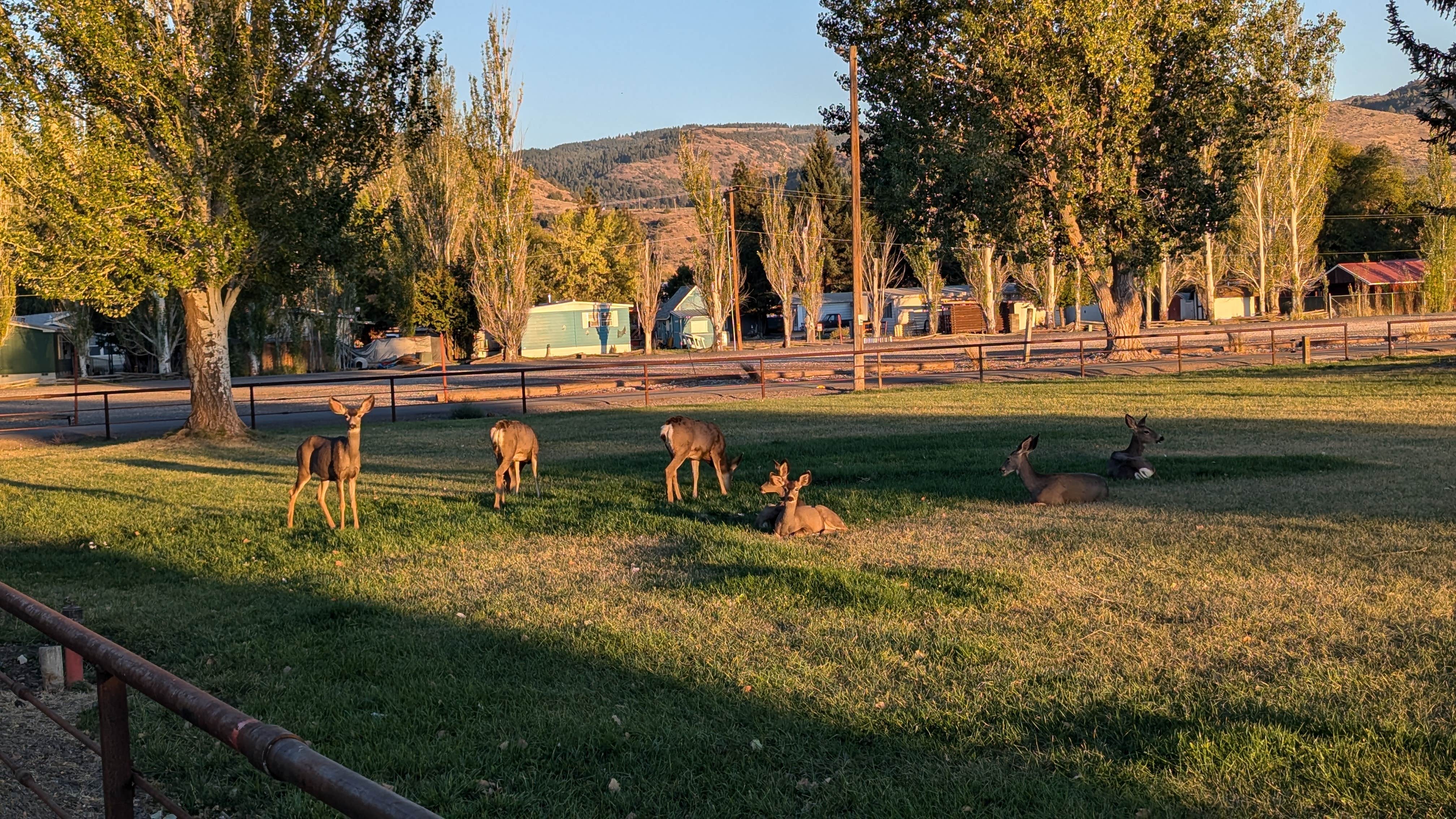 Camping near Mud Creek Campground: Lake County Fairgrounds, Lakeview, Oregon