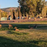 Review photo of Lake County Fairgrounds by john M., September 28, 2024