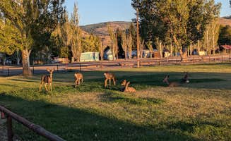 john M.'s photo of camping with pets at Lake County Fairgrounds near Lakeview, OR