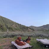 Review photo of Lake Creek Rd Dispersed by Bethany W., May 30, 2025