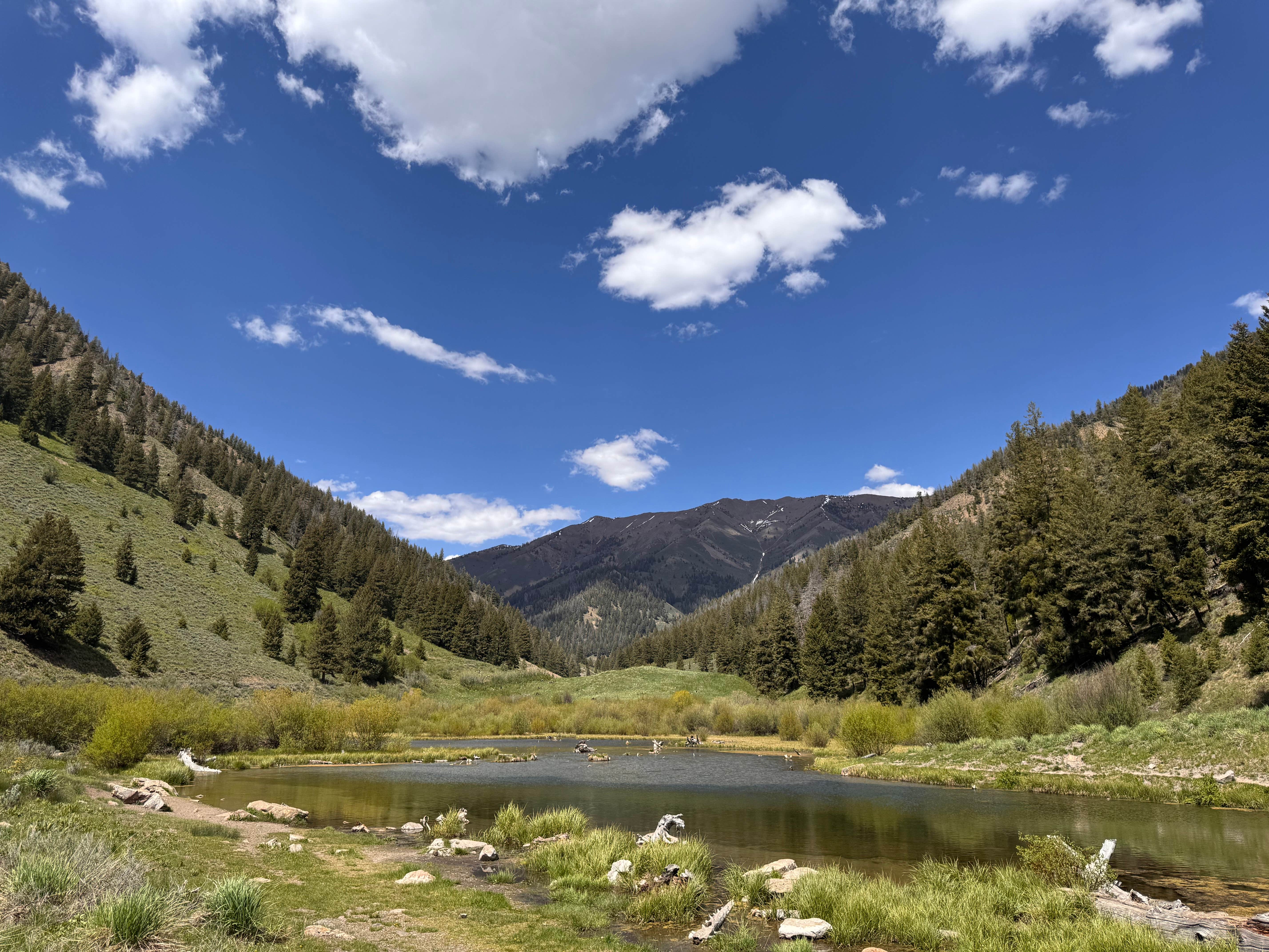 Bethany W.'s photo of a dispersed camping area at Lake Creek Rd Dispersed near Bellevue, ID