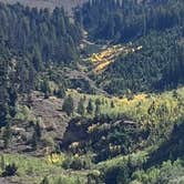 Review photo of Lake Creek Rd Dispersed by Petey C., September 15, 2026
