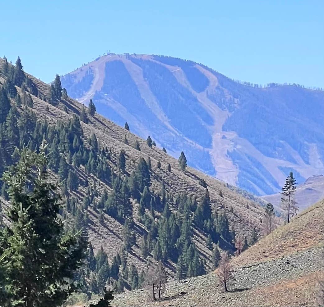 Camper-submitted photo at Lake Creek Rd Dispersed near Mackay, ID