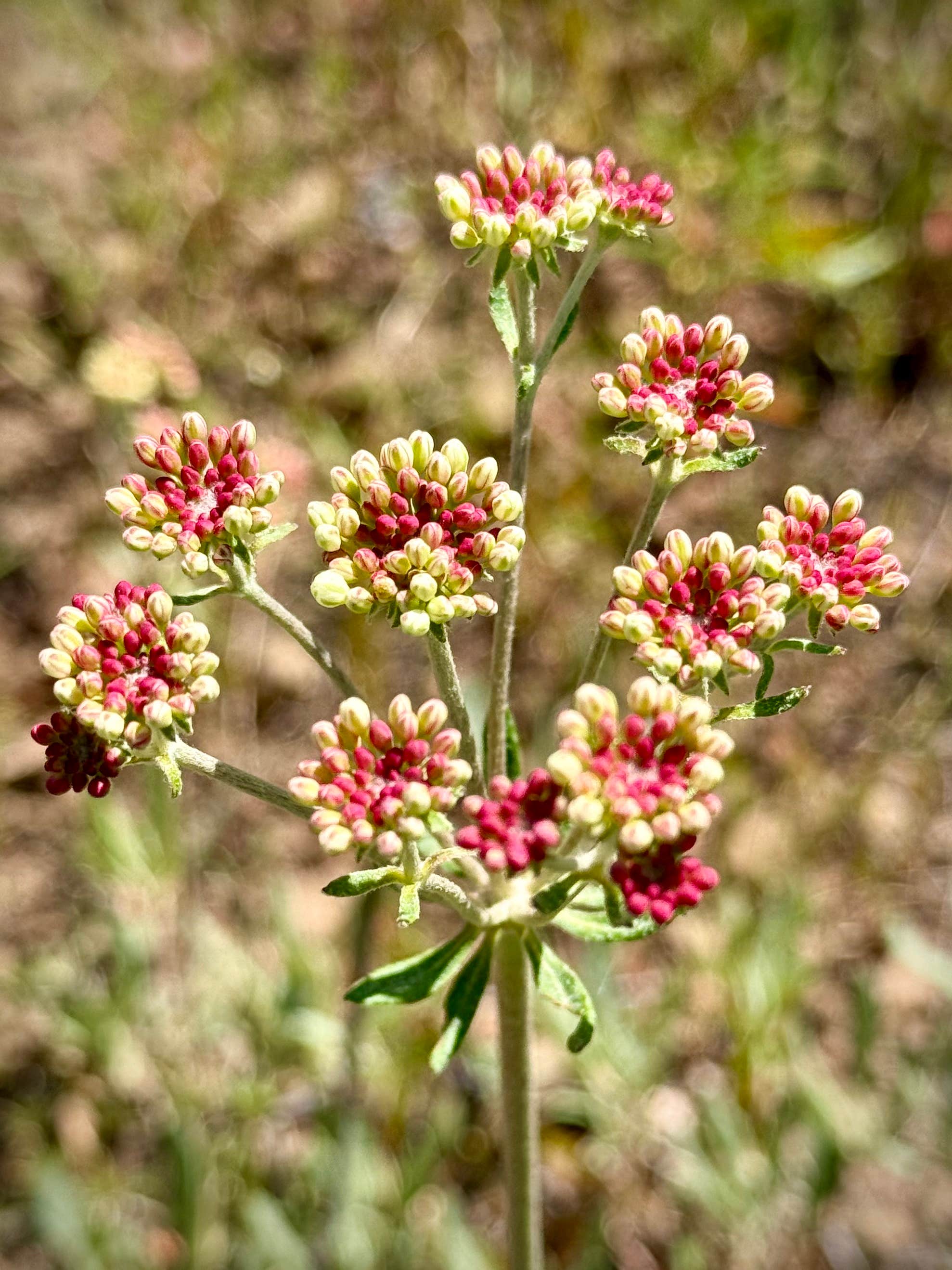 Camper-submitted photo at Lake Creek Youth Camp near Malheur National Forest