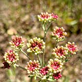 Review photo of Lake Creek Youth Camp by Leticia W., January 14, 2026