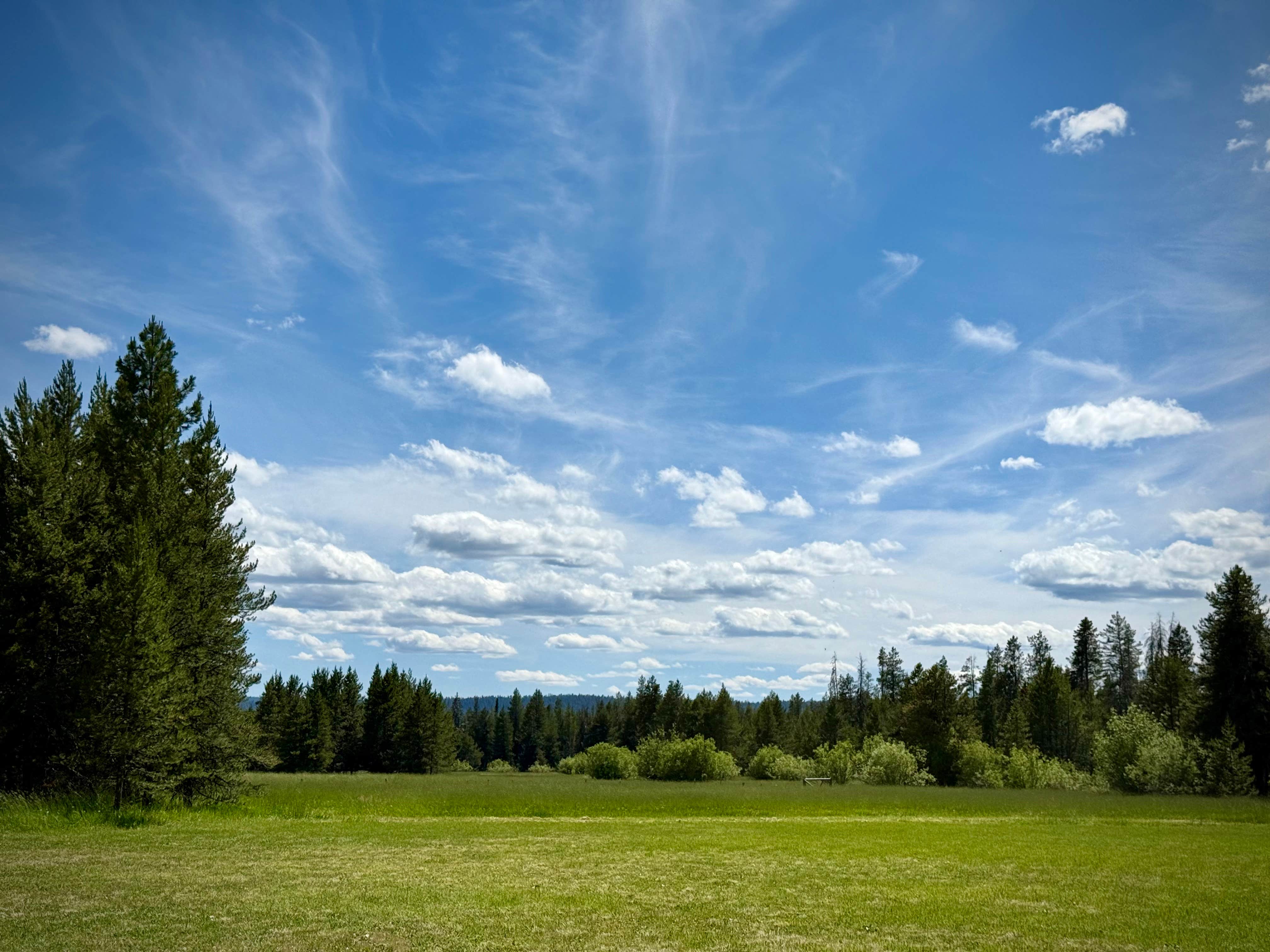 Camper submitted image from Lake Creek Youth Camp - 1