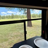 Review photo of Lake Creek Youth Camp by Leticia W., January 14, 2026