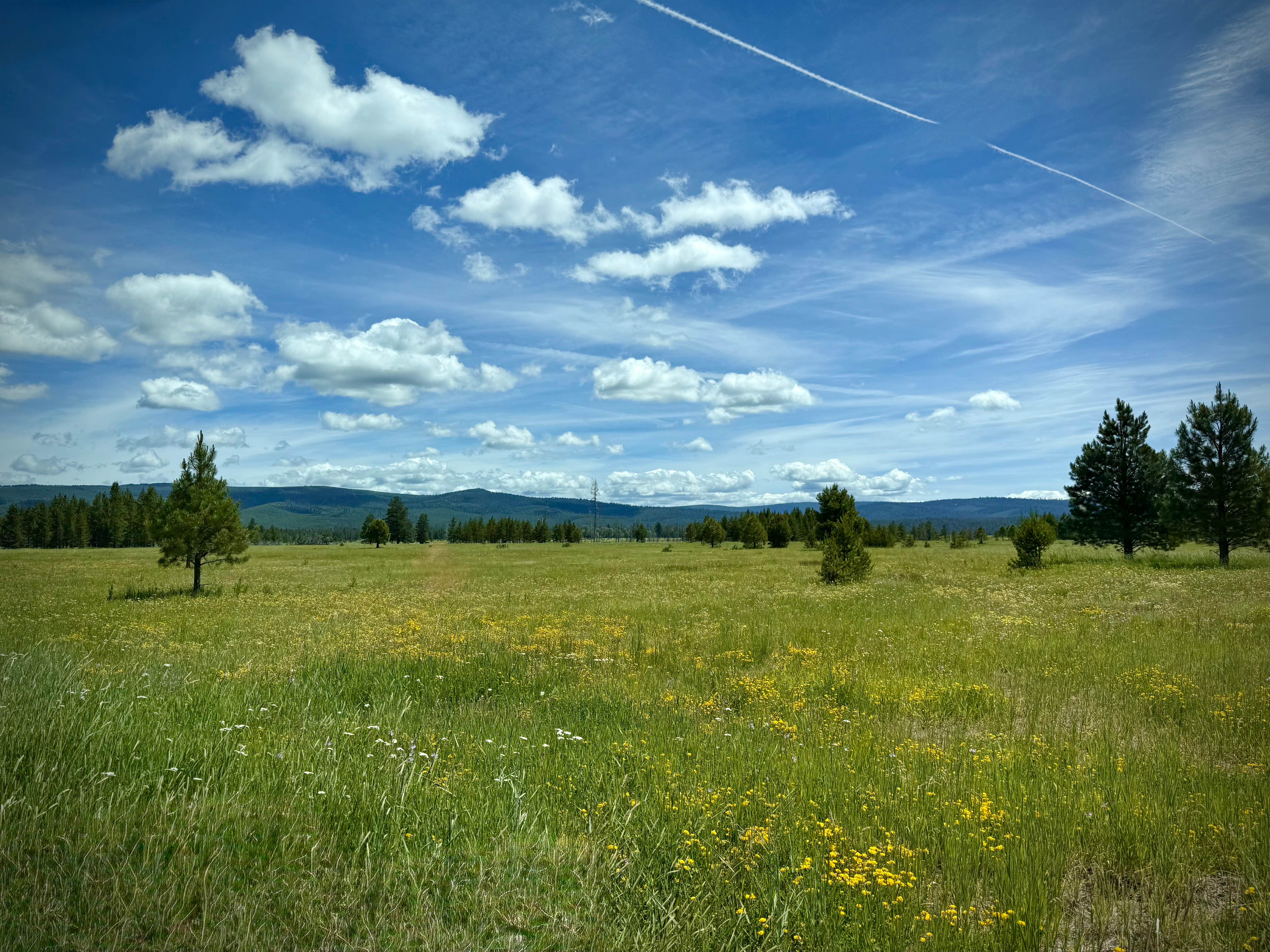 Camper-submitted photo at Lake Creek Youth Camp near Malheur National Forest