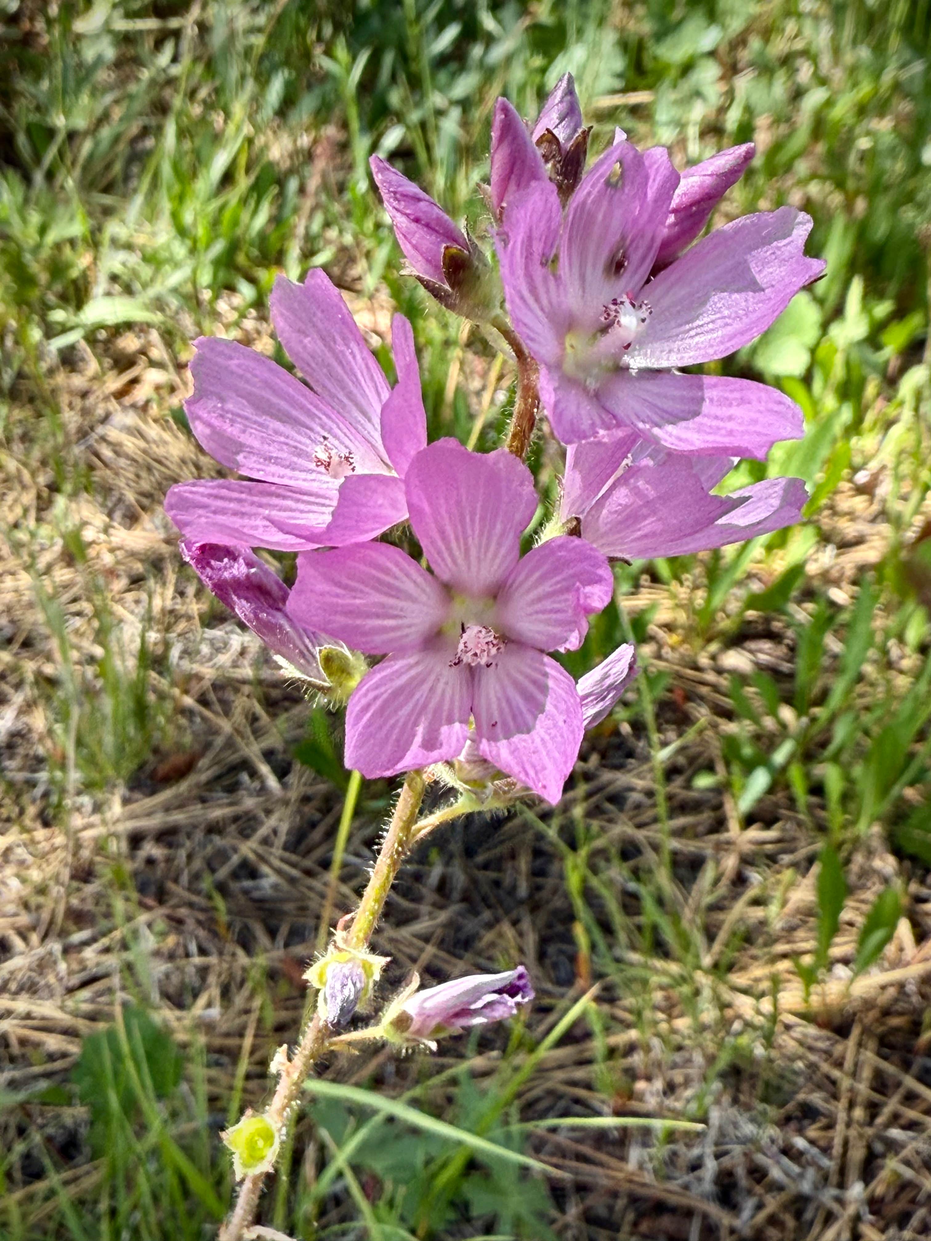 Camper-submitted photo at Lake Creek Youth Camp near Malheur National Forest