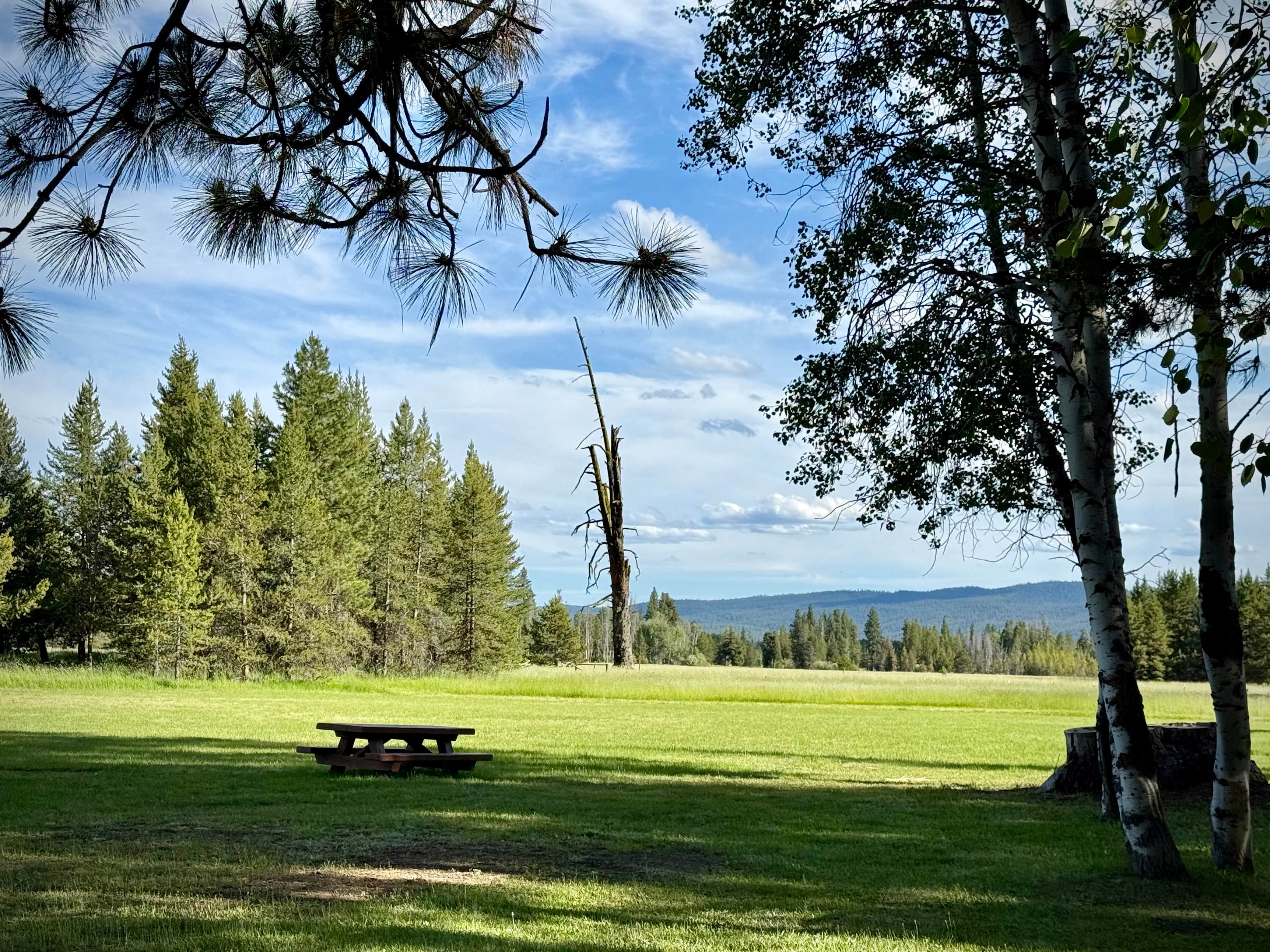 Camper-submitted photo at Lake Creek Youth Camp near Malheur National Forest