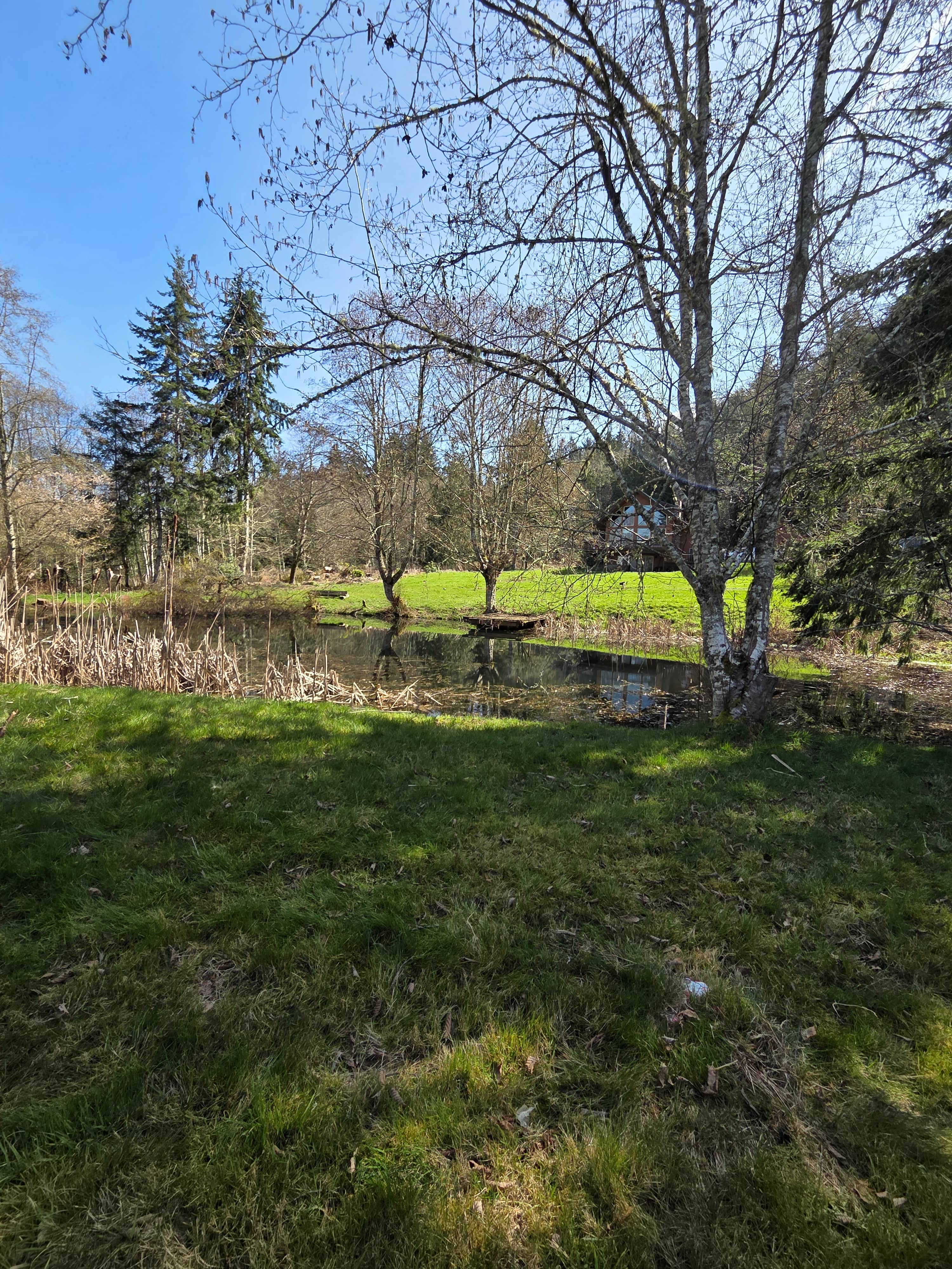 Camping near Lyre River Campground: Lake Crescent Retreat, Joyce, Washington