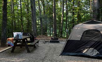 Lisa D.'s photo of tent camping at Lake Curriher Wilderness near Uwharrie National Forest