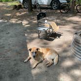 Review photo of Lake Dubonnet State Forest Campground by Nicole V., July 14, 2024