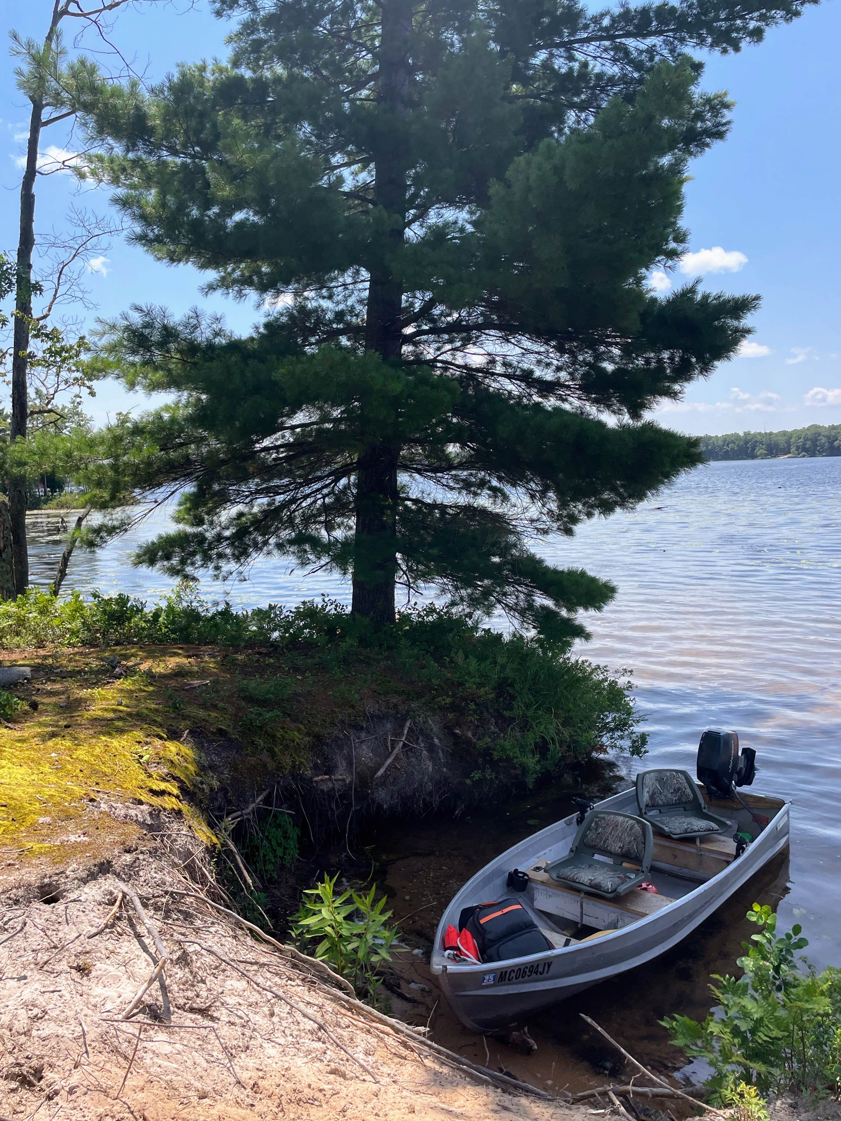 Camper submitted image from Lake Dubonnet State Forest Campground - 3