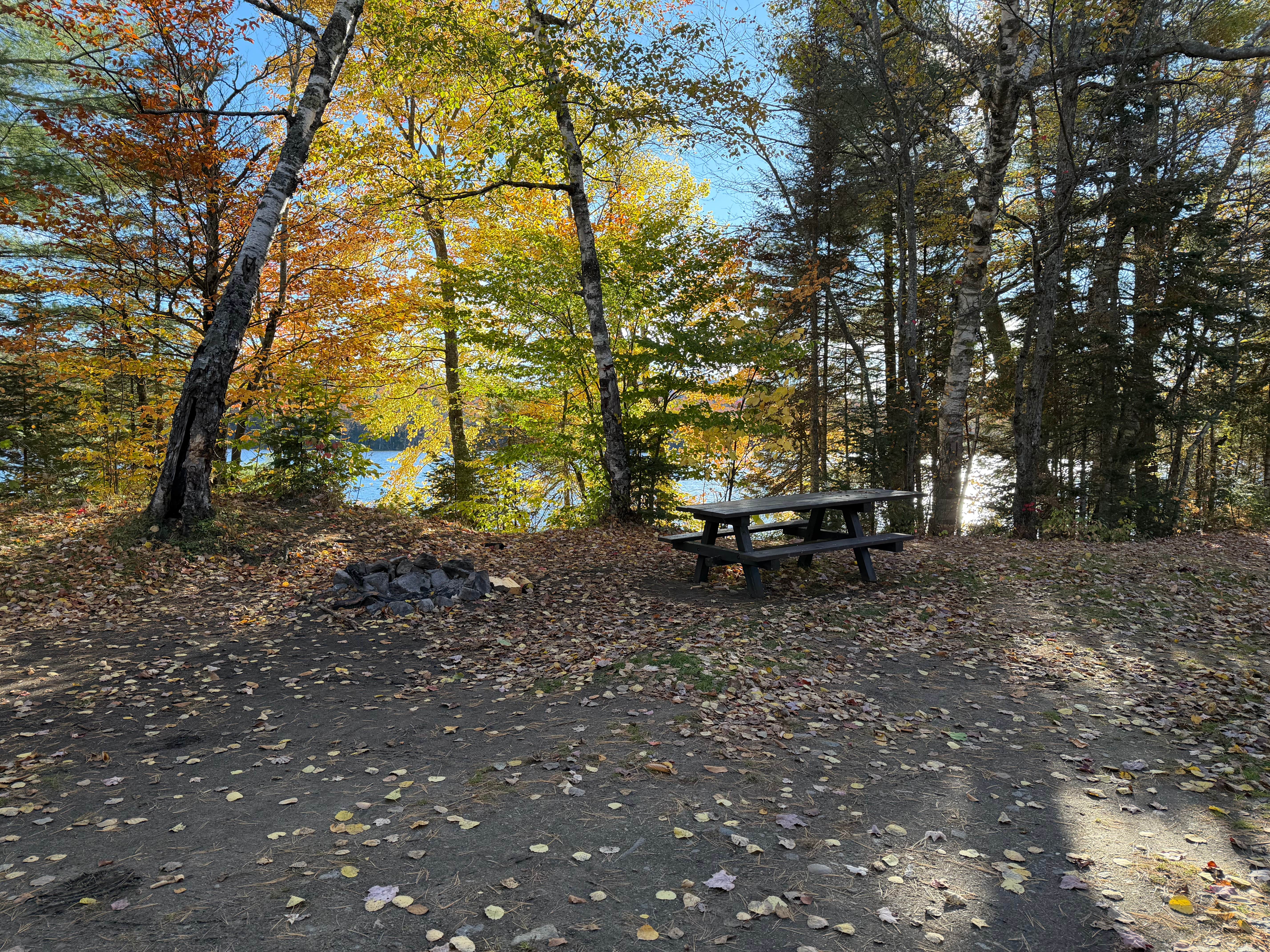 Camper-submitted photo at Lake Durant off Old Route 28 near Tupper Lake, NY