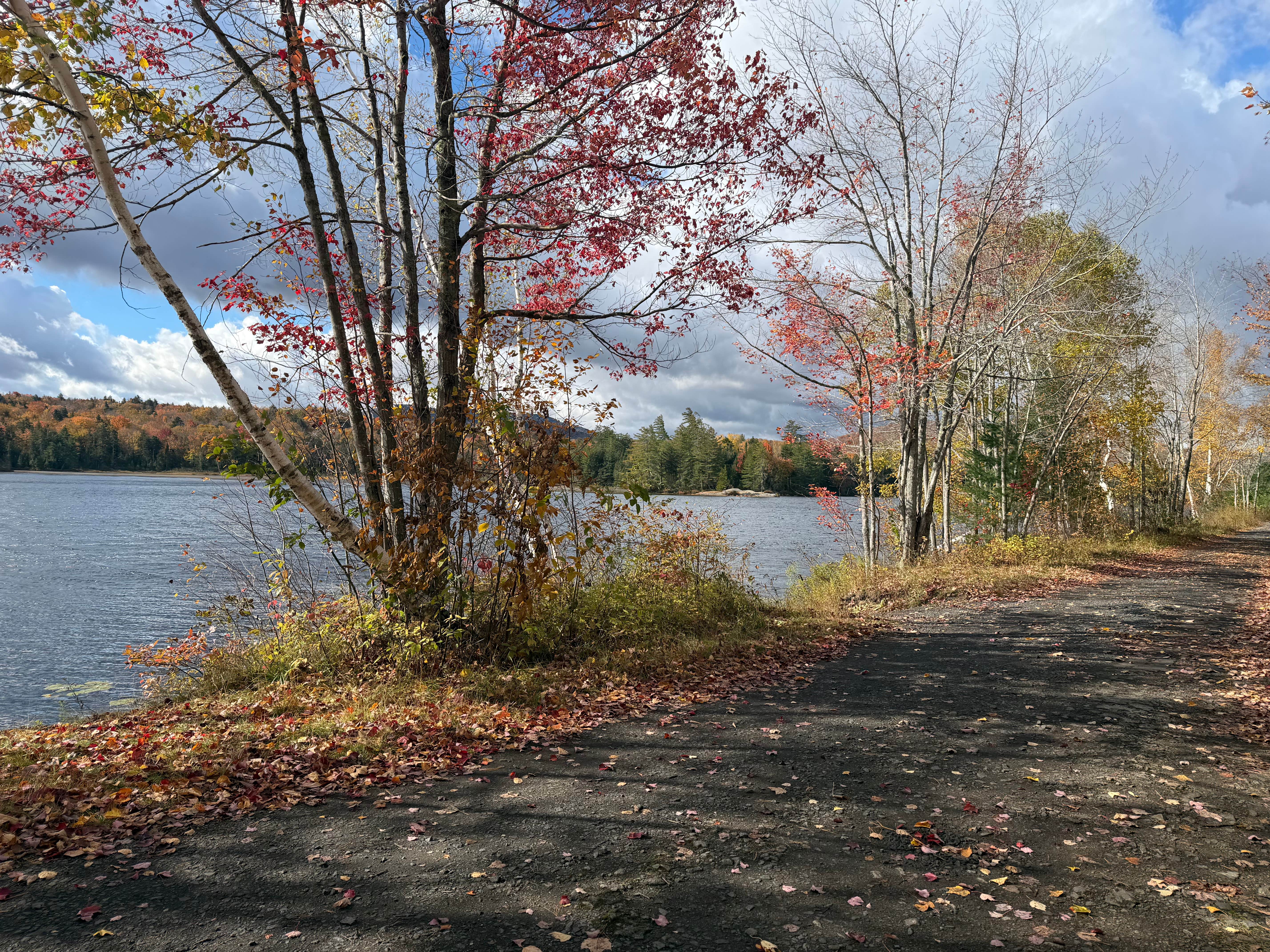 Adina W.'s photo of a dispersed camping area at Lake Durant off Old Route 28 near Cleverdale, NY