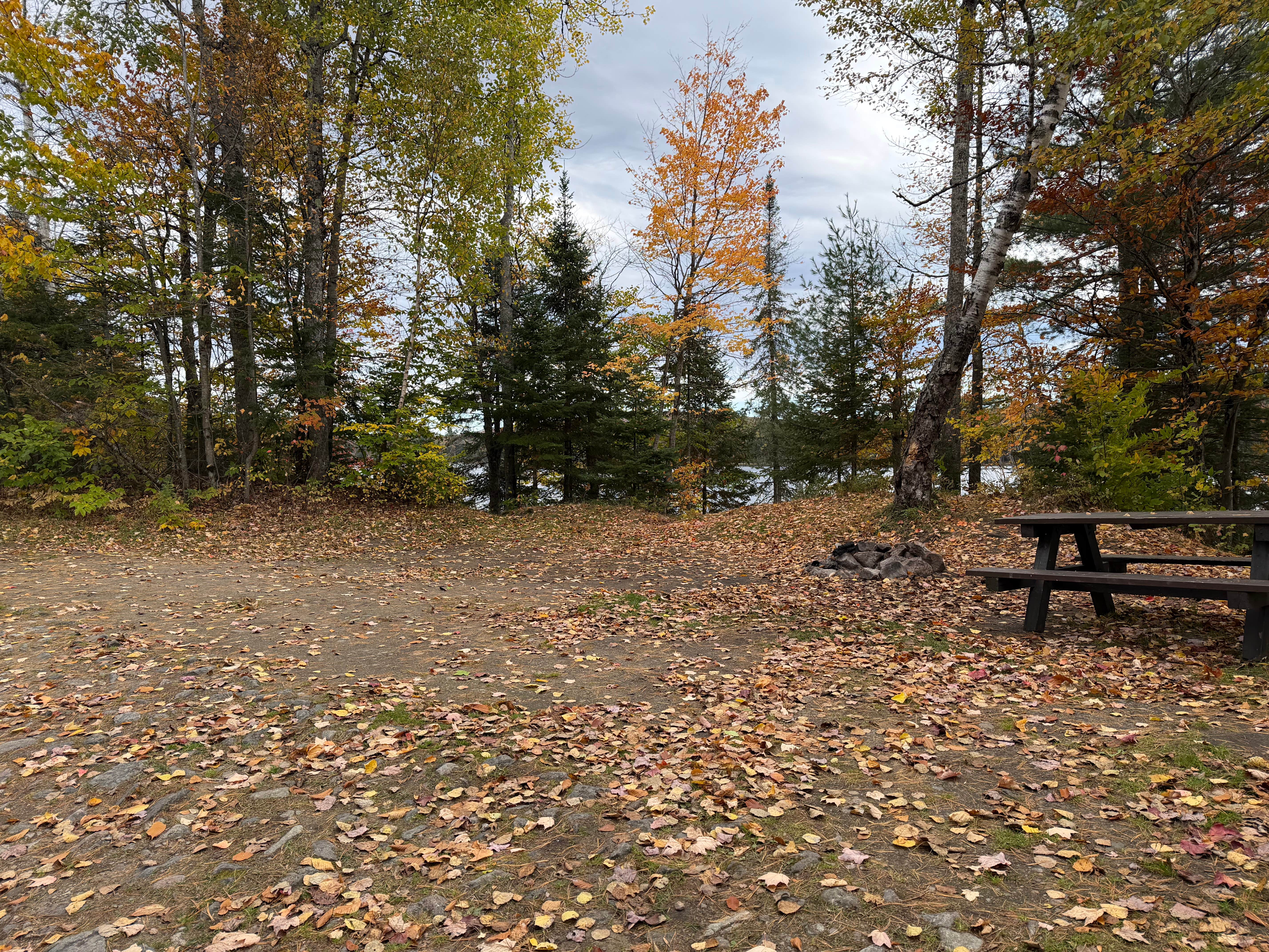 Camper-submitted photo at Lake Durant off Old Route 28 near Tupper Lake, NY