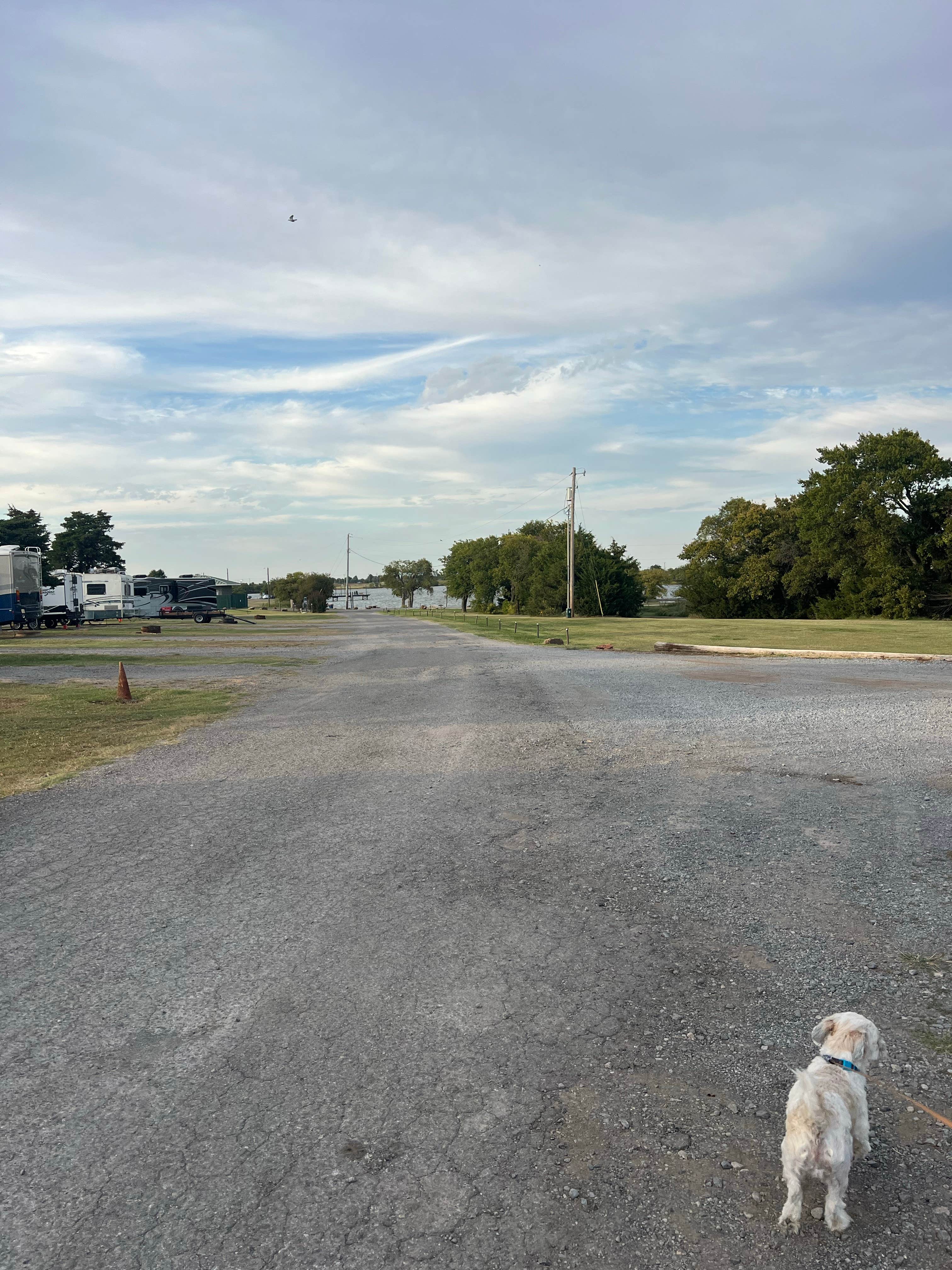 Carly B.'s photo of camping with pets at Lake El Reno RV Park near Choctaw, OK