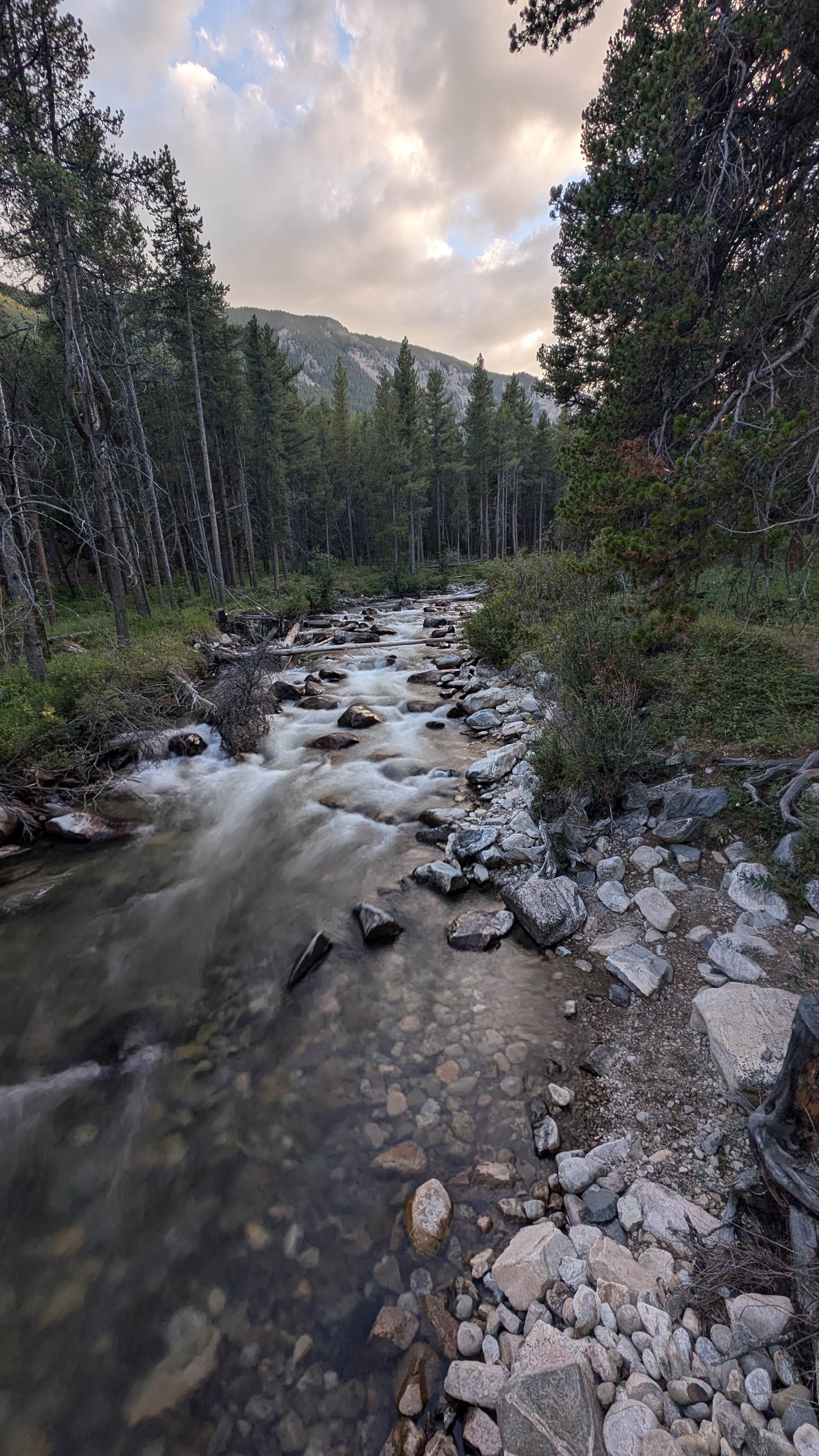 Camping near Custer National Forest Rattin Campground: Lake Fork Roadside Camp, Red Lodge, Montana