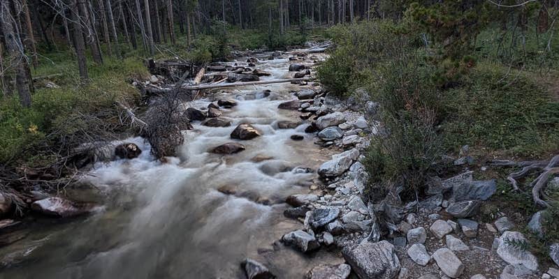 Camper submitted image from Lake Fork Roadside Camp
