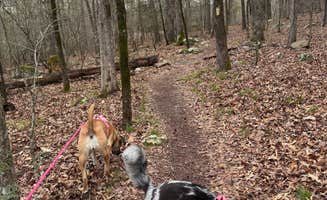 Jennifer O.'s photo of camping with pets at Lake Fort Smith State Park Campground near John Paul Hammerschmidt Lake