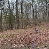 Review photo of Lake Fort Smith State Park Campground by Jennifer O., March 30, 2025