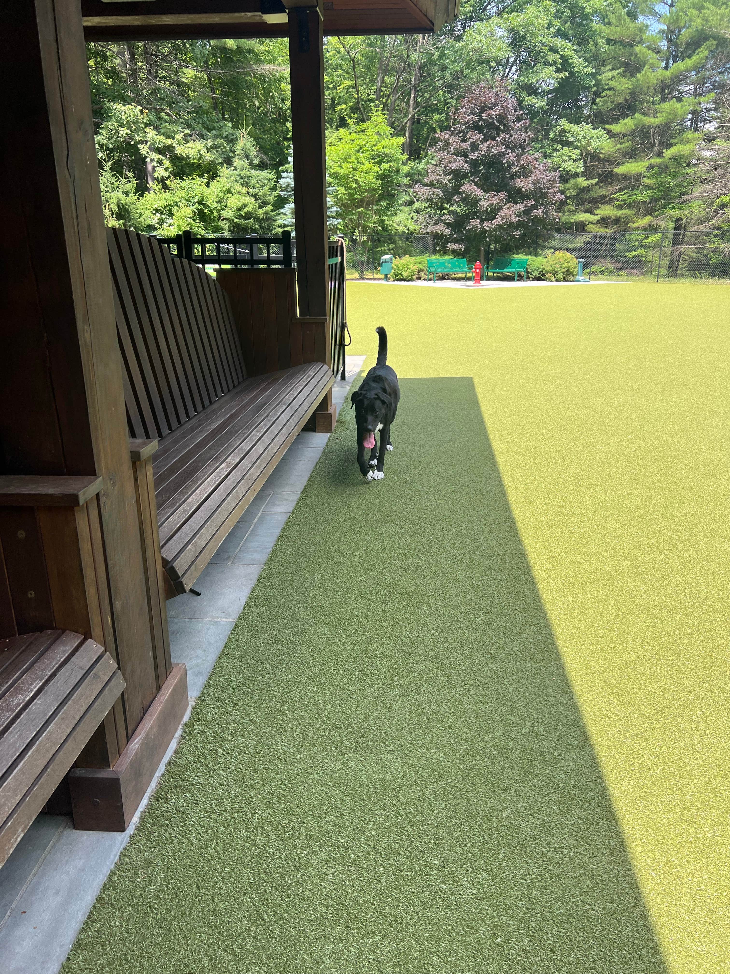 Michael C.'s photo of camping with pets at Lake George RV Park near Lake Luzerne, NY