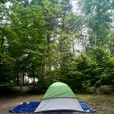 Review photo of Lake Harris Campground by Alex , August 1, 2025
