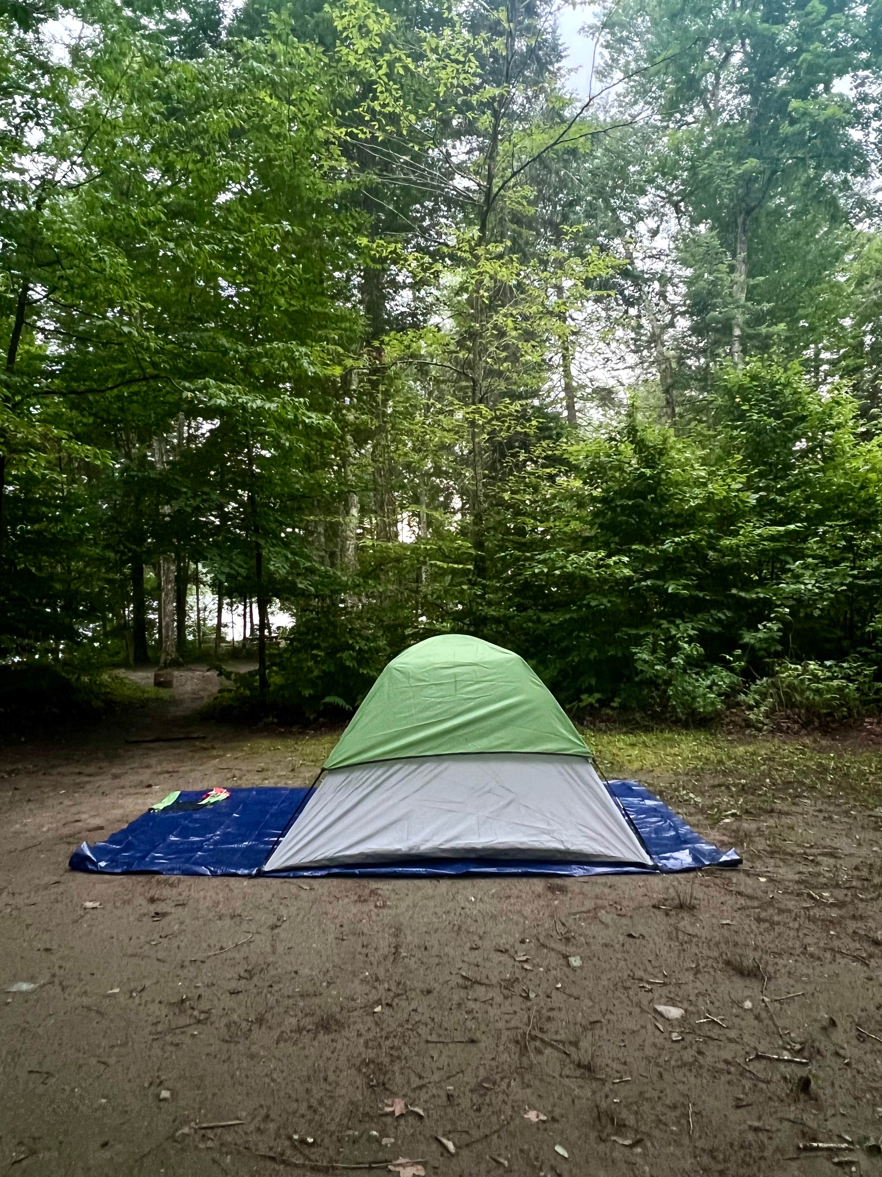Camper submitted image from Lake Harris Campground - 1