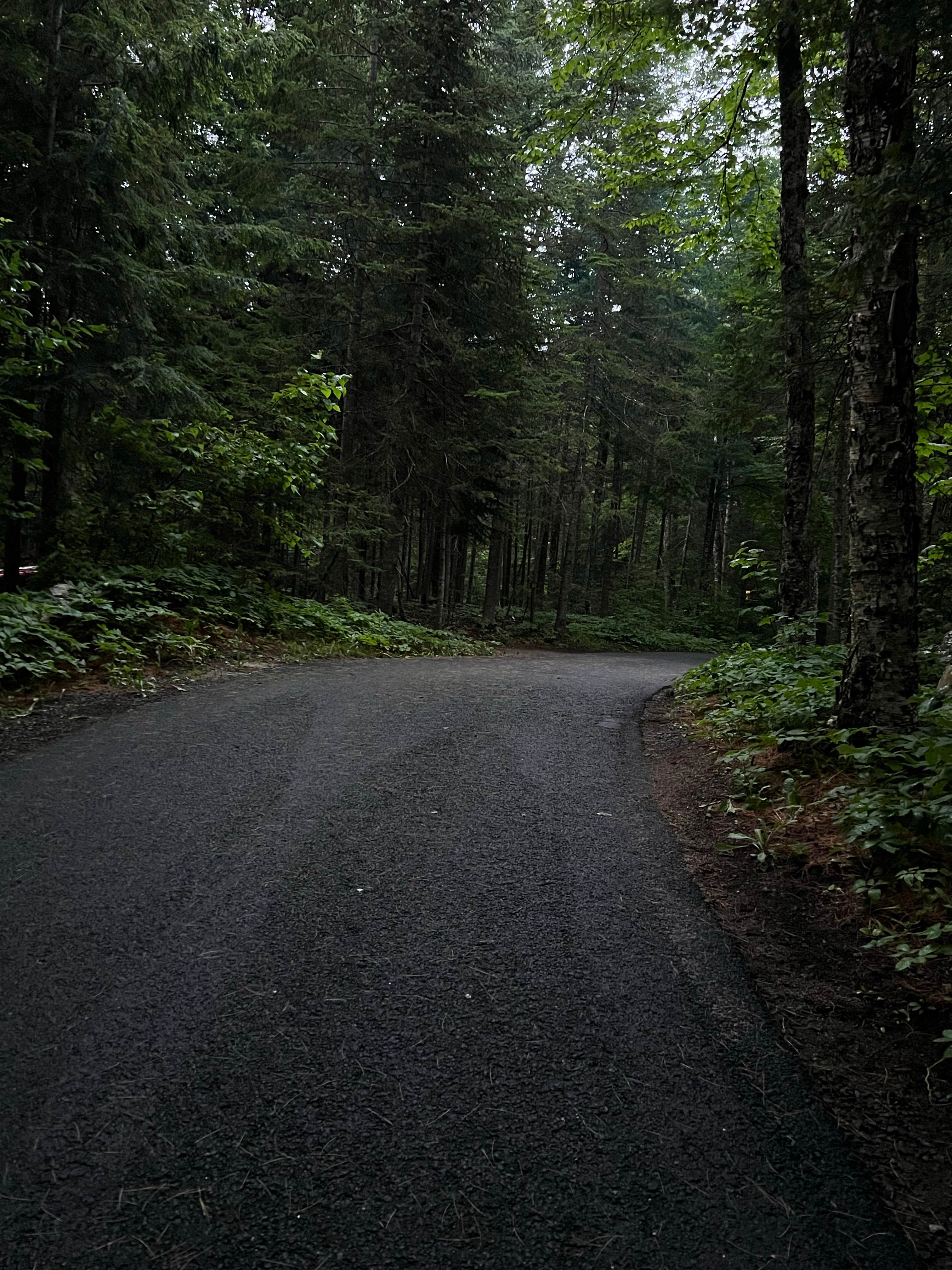 Camper-submitted photo at Lake Harris Campground near Long Lake, NY