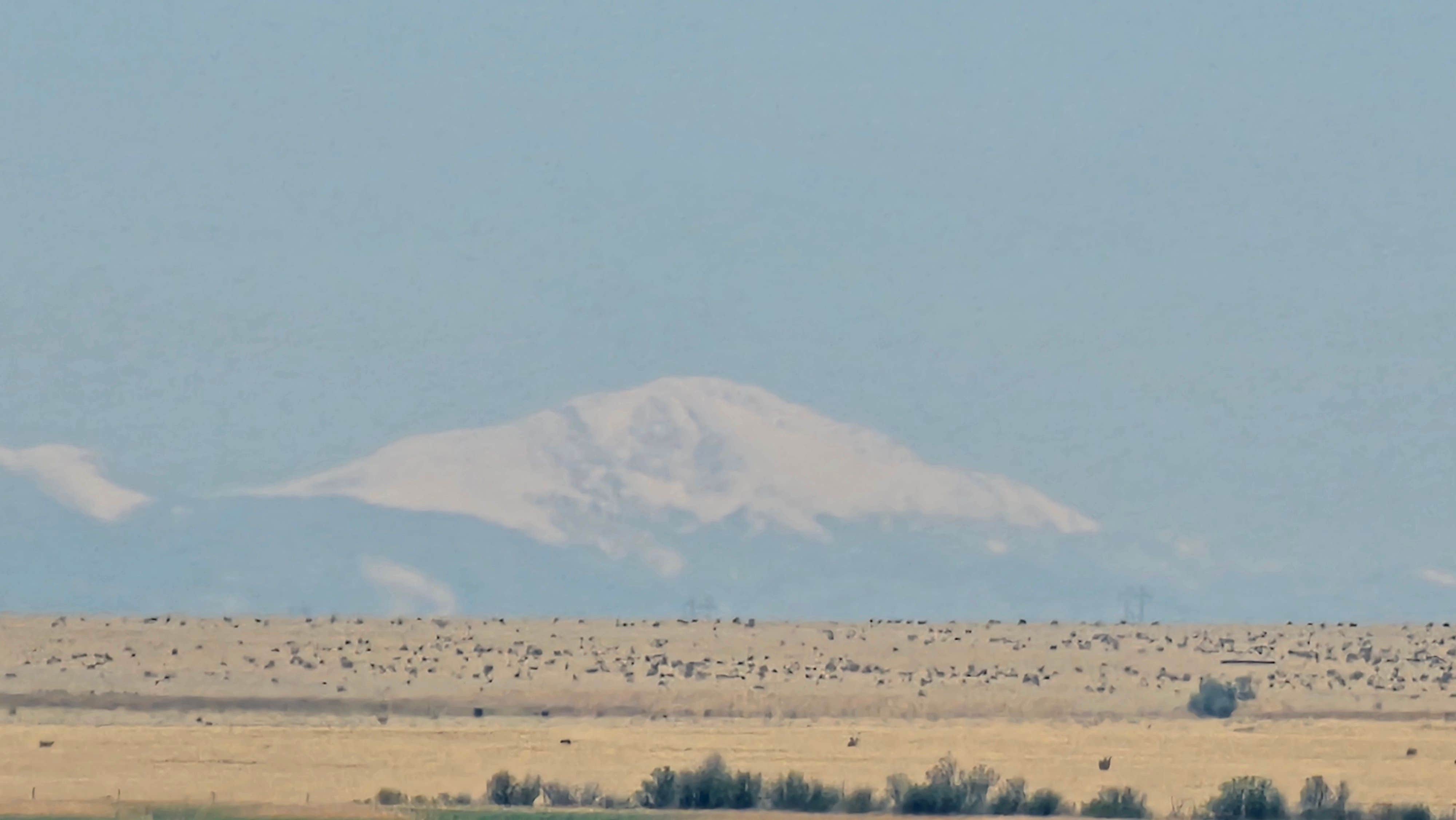 Camper-submitted photo at Lake Henry near La Junta, CO