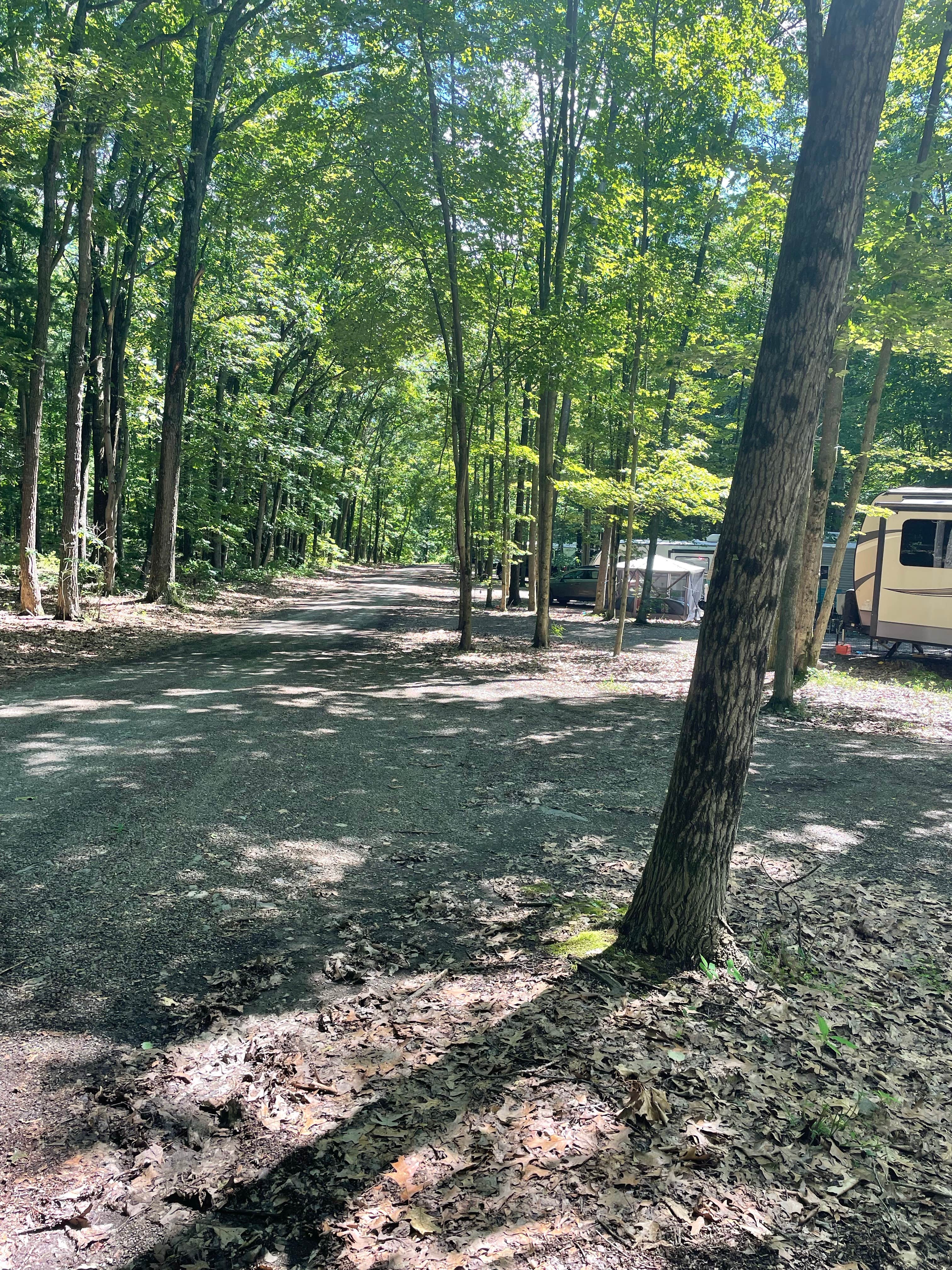 Sharon L.'s photo of rv camping at Lake Heron Retreat near Beavertown, PA