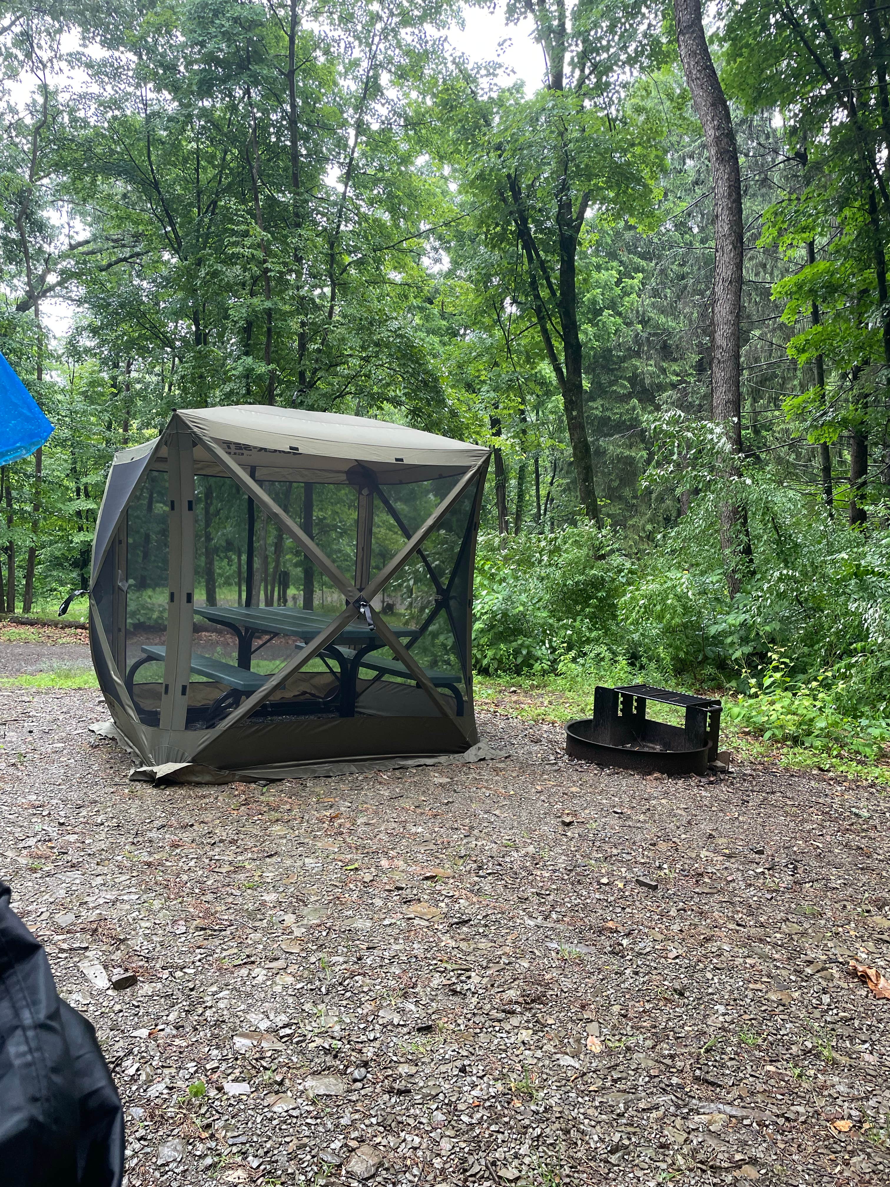 Sharon L.'s photo at Lake Heron Retreat near Richfield, PA