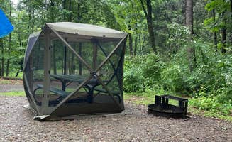 Sharon L.'s photo at Lake Heron Retreat near Reed, PA