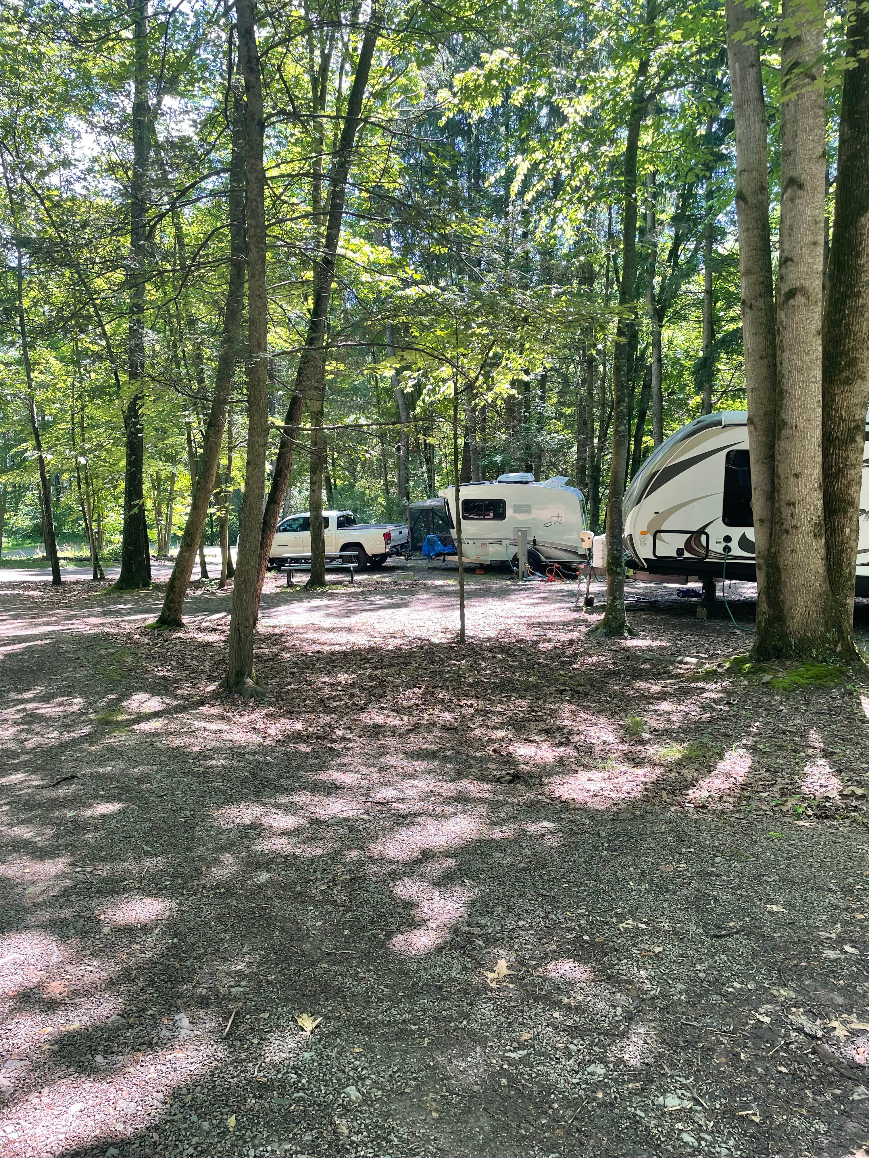 Camper submitted image from Lake Heron Retreat - 4