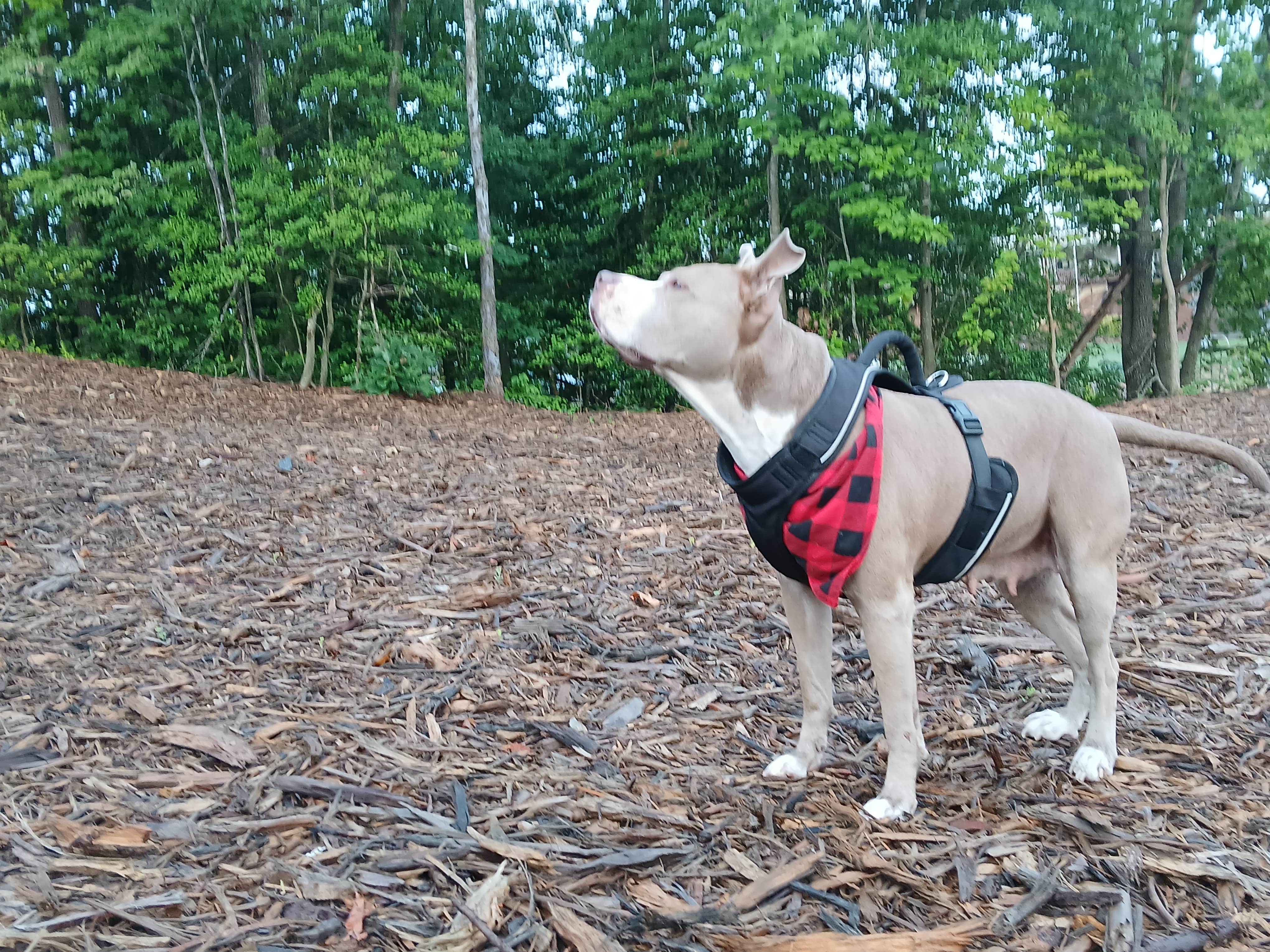 Camper-submitted photo at Lake Hickory RV Resort near Granite Falls, NC