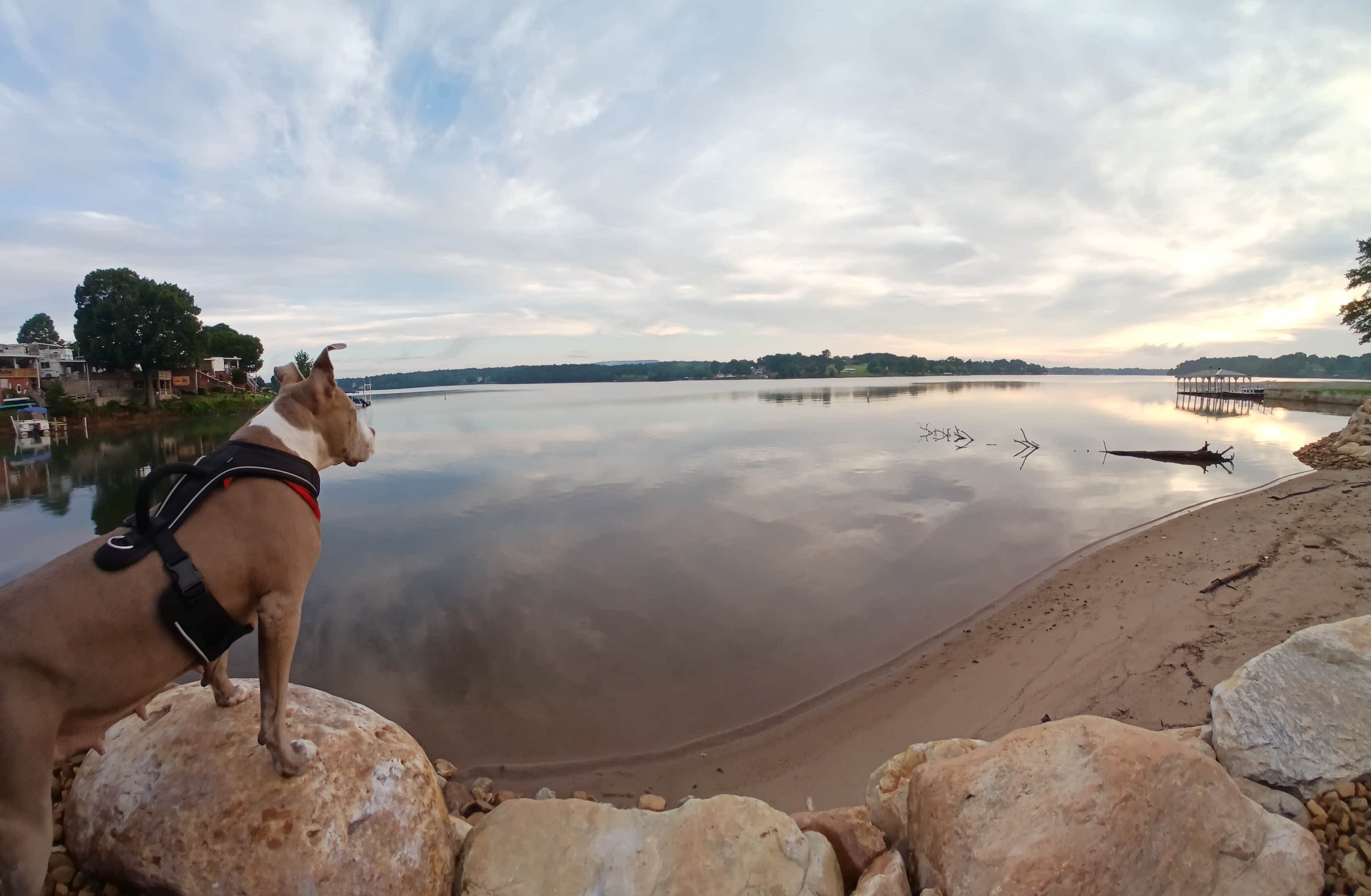 Camper submitted image from Lake Hickory RV Resort - 2