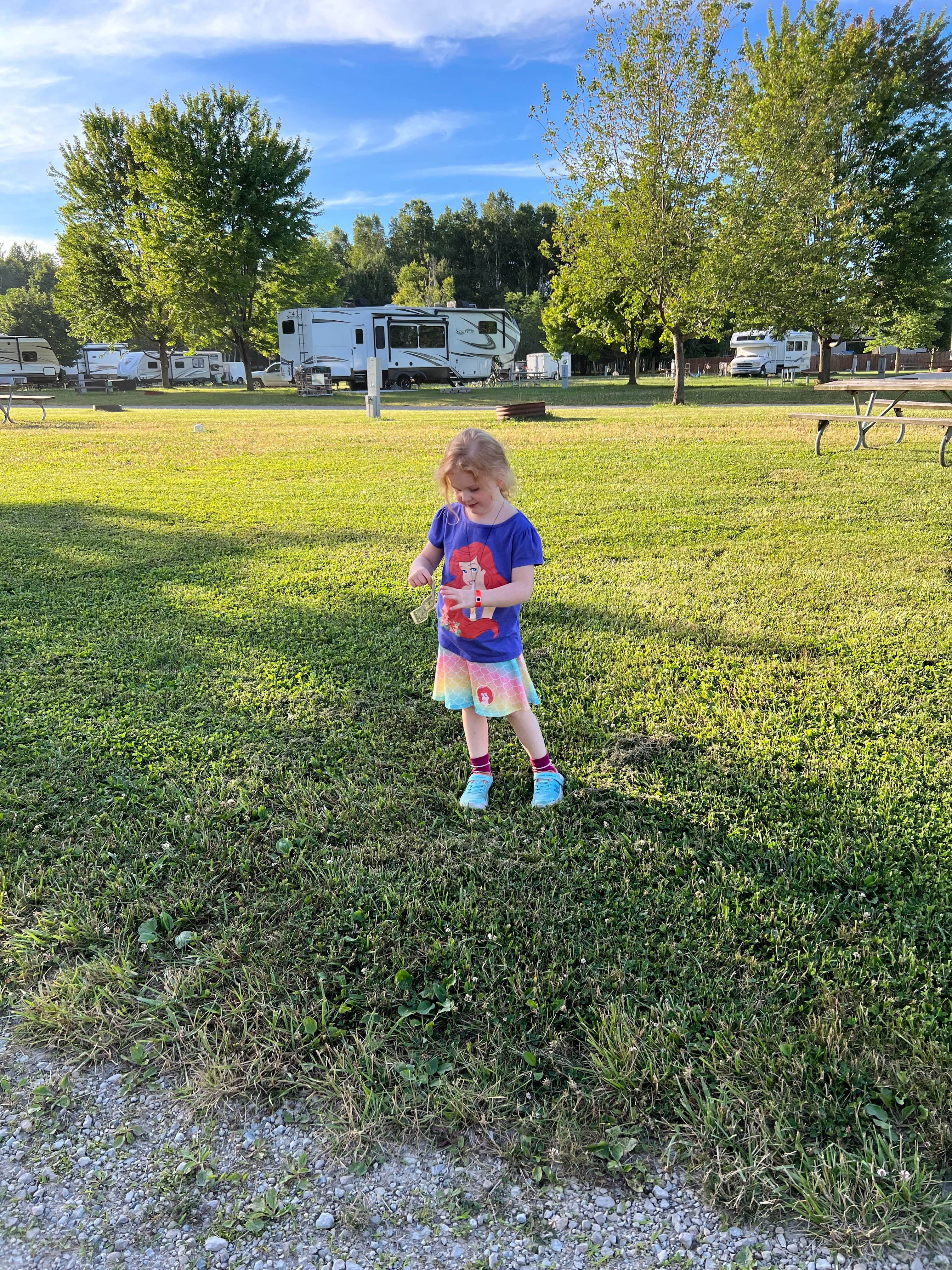 Camper-submitted photo at Jellystone Park North Port Huron near Cass City, MI
