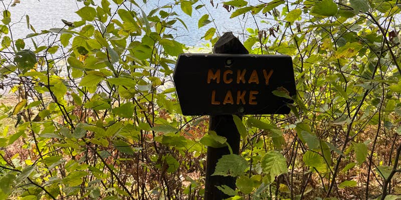 Camper submitted image from Lake Itasca State Park Backpack #5