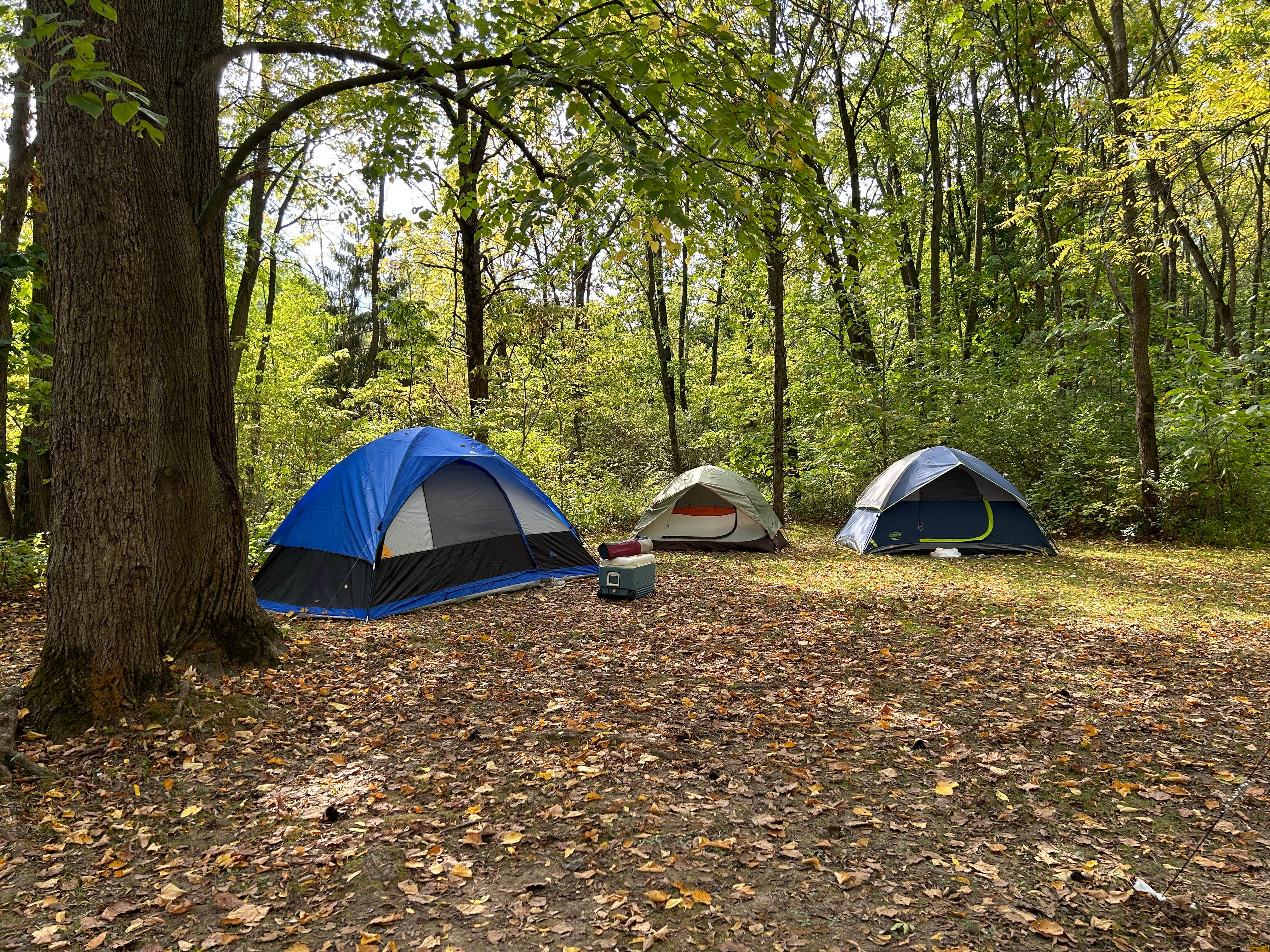 Camper submitted image from Lake Kegonsa State Park Campground - 1