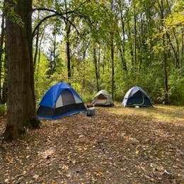 Lake Kegonsa State Park