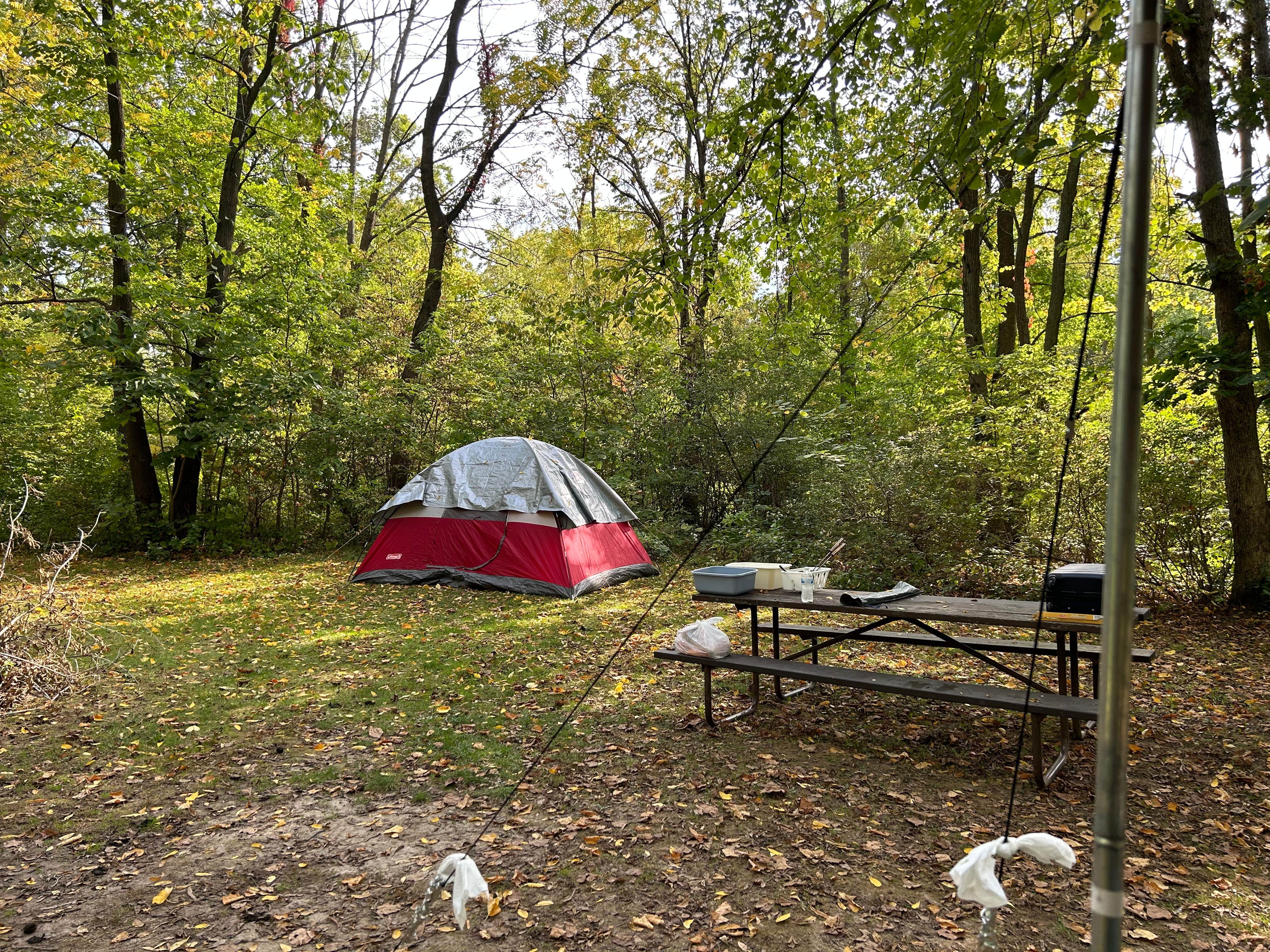 marissa's photo at Lake Kegonsa State Park Campground near Sun Prairie, WI