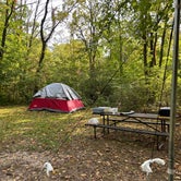 Review photo of Lake Kegonsa State Park Campground by marissa , October 11, 2023