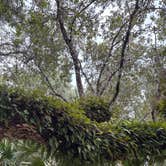Review photo of Lake Kissimmee State Park Campground by Robert T., September 1, 2025