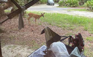 Robert T.'s photo at Lake Kissimmee State Park Campground near Lake Wales, FL