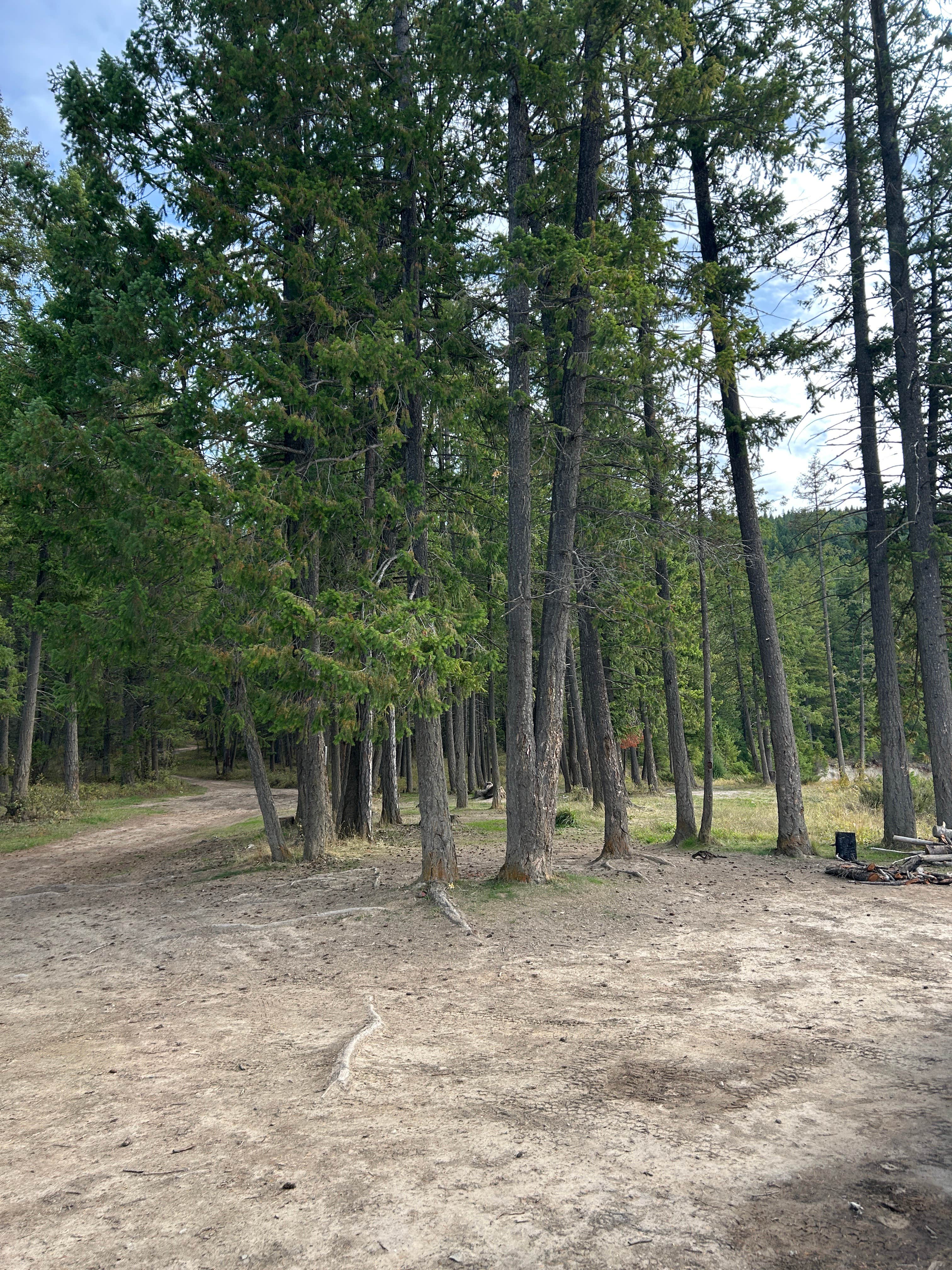 Camper-submitted photo at Lake Koocanusa peninsula near Trego, MT