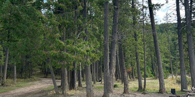 Camper submitted image from Lake Koocanusa peninsula