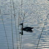 Review photo of Lake LaCroix RV Resort by Tiffany M., August 2, 2025